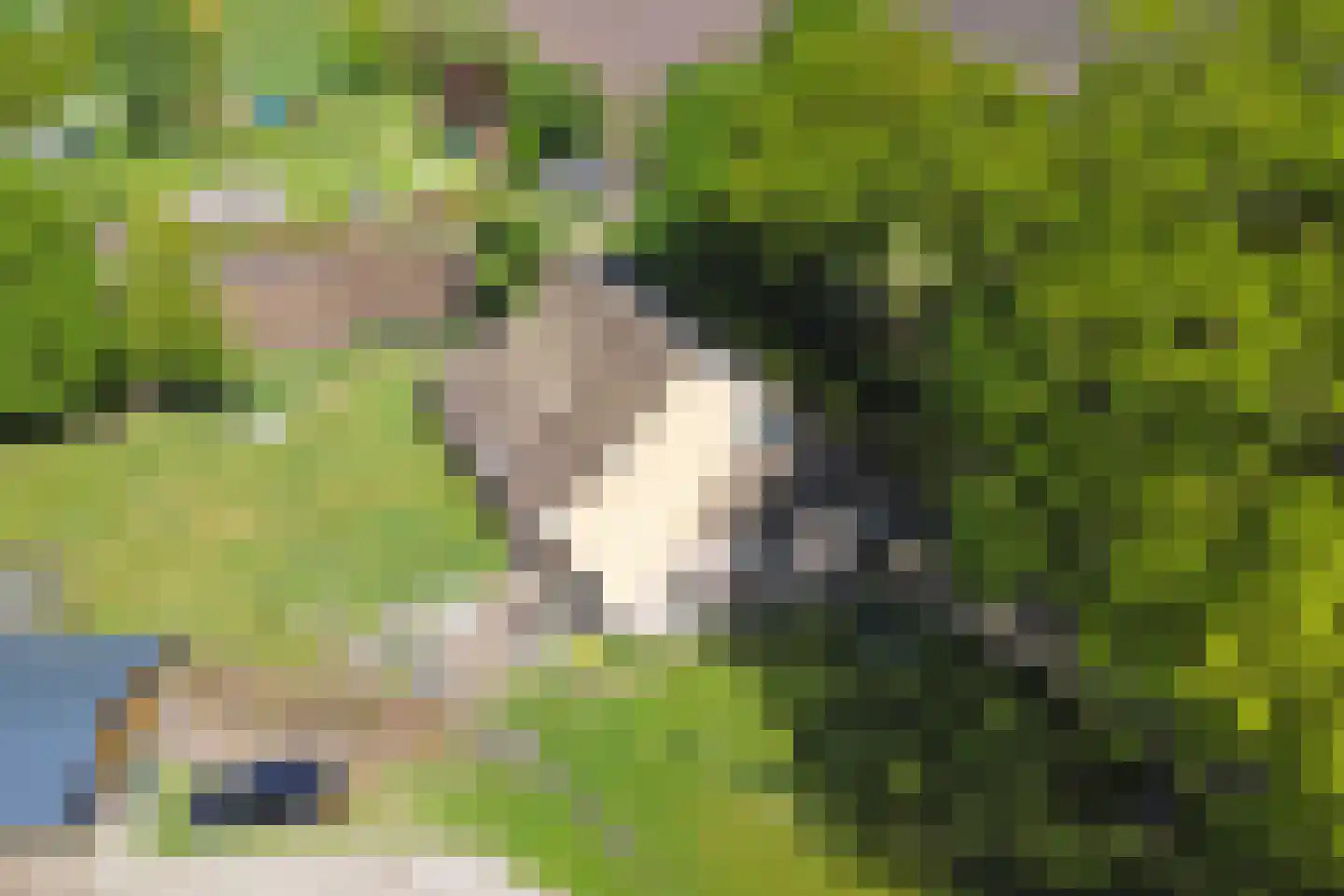 Den Hool 5 Holsloot thumbnail 27