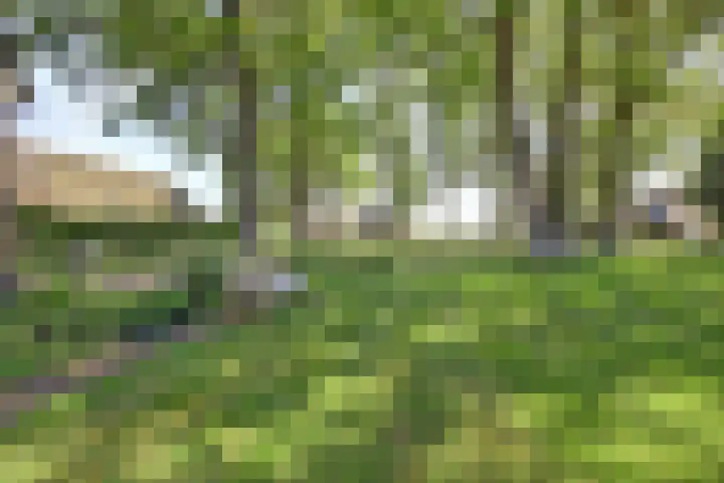 Den Hool 5 Holsloot thumbnail 28