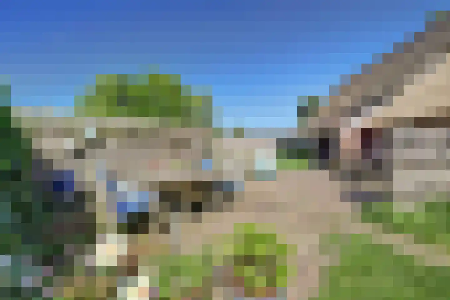 Den Hool 5 Holsloot thumbnail 29