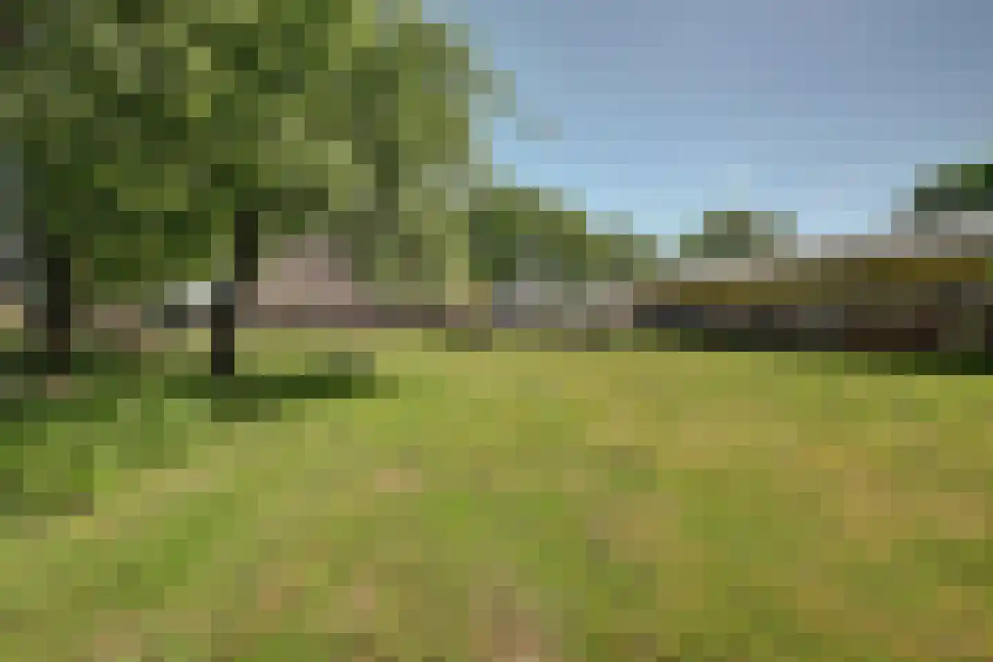 Den Hool 5 Holsloot thumbnail 30