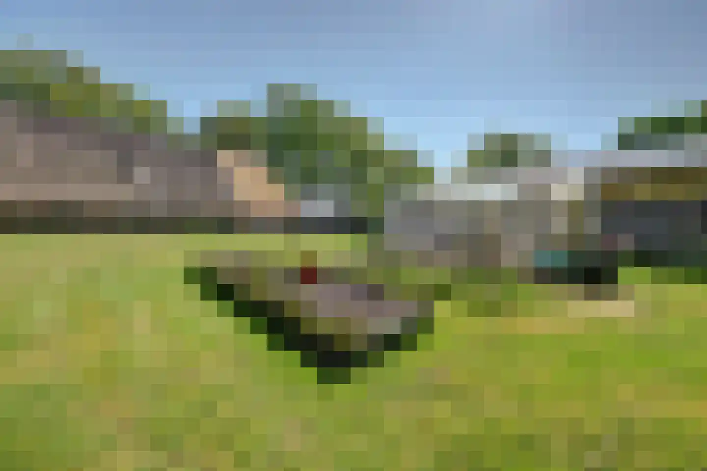 Den Hool 5 Holsloot thumbnail 31