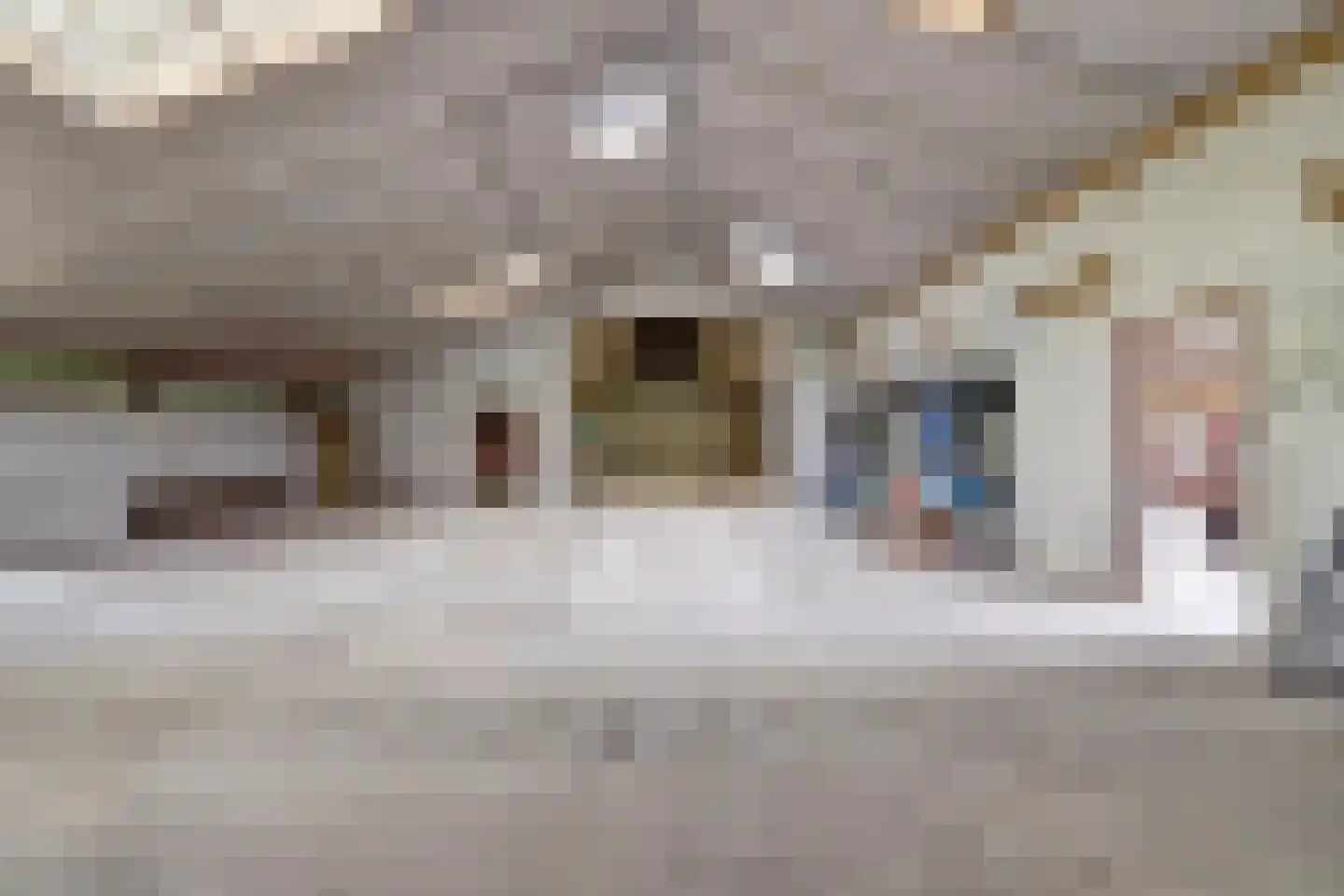 Den Hool 5 Holsloot thumbnail 45