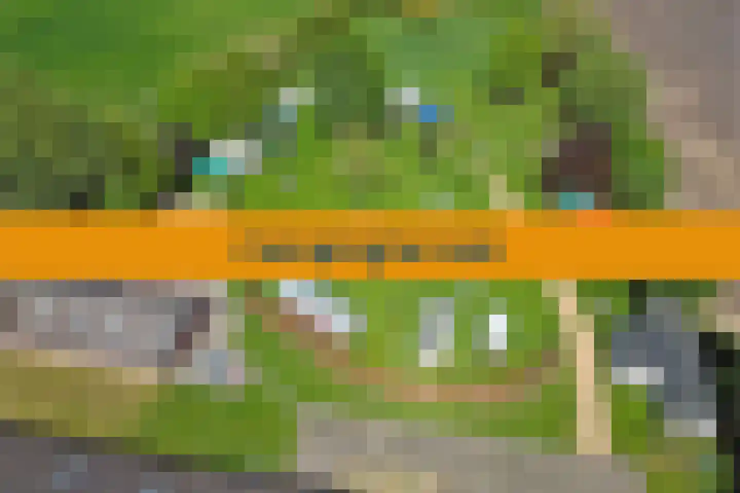 Den Hool 5 Holsloot thumbnail 47