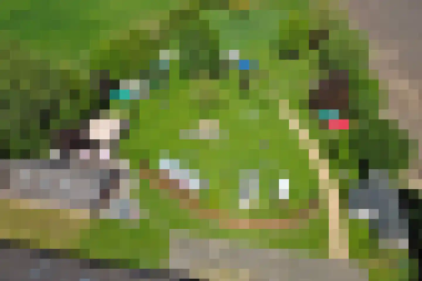 Den Hool 5 Holsloot thumbnail 48