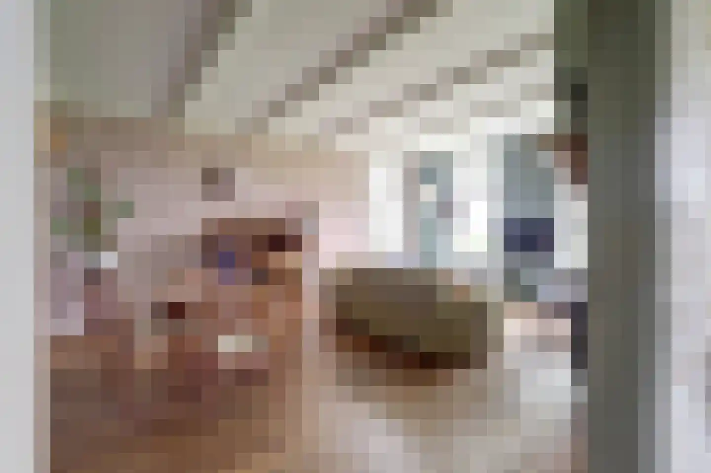 Den Hool 5 Holsloot thumbnail 5