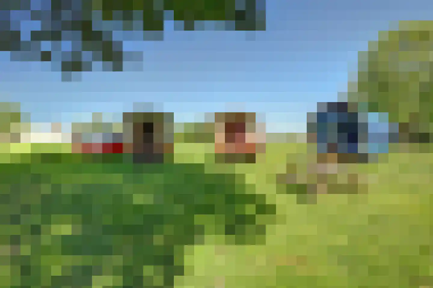 Den Hool 5 Holsloot thumbnail 50