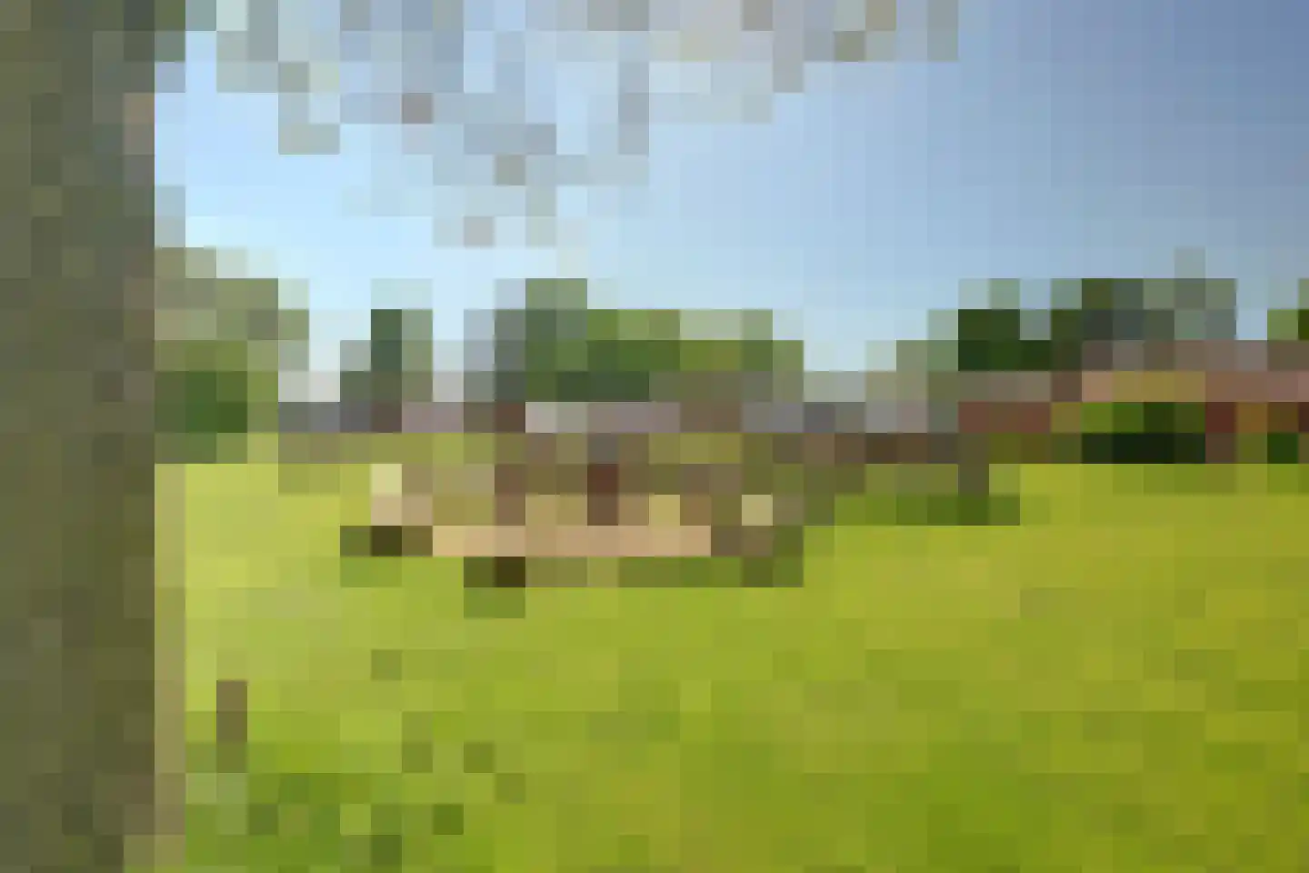 Den Hool 5 Holsloot thumbnail 55