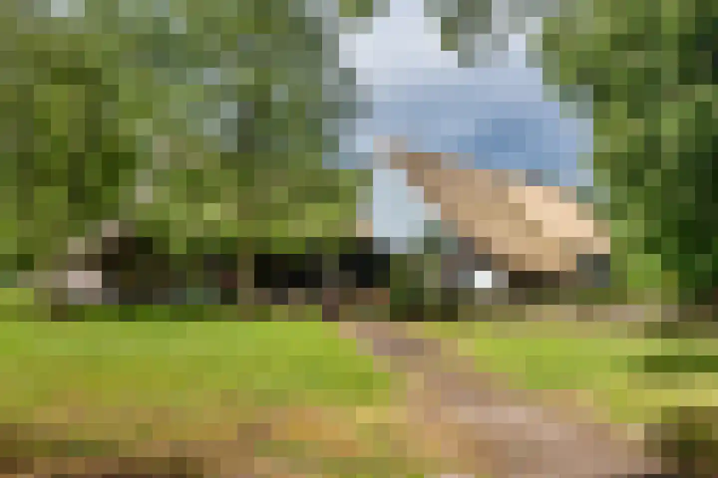 Den Hool 8 Holsloot thumbnail 10
