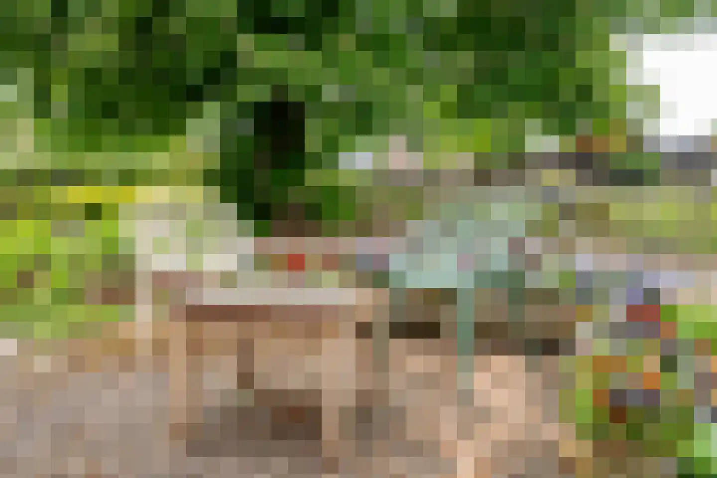 Den Hool 8 Holsloot thumbnail 13