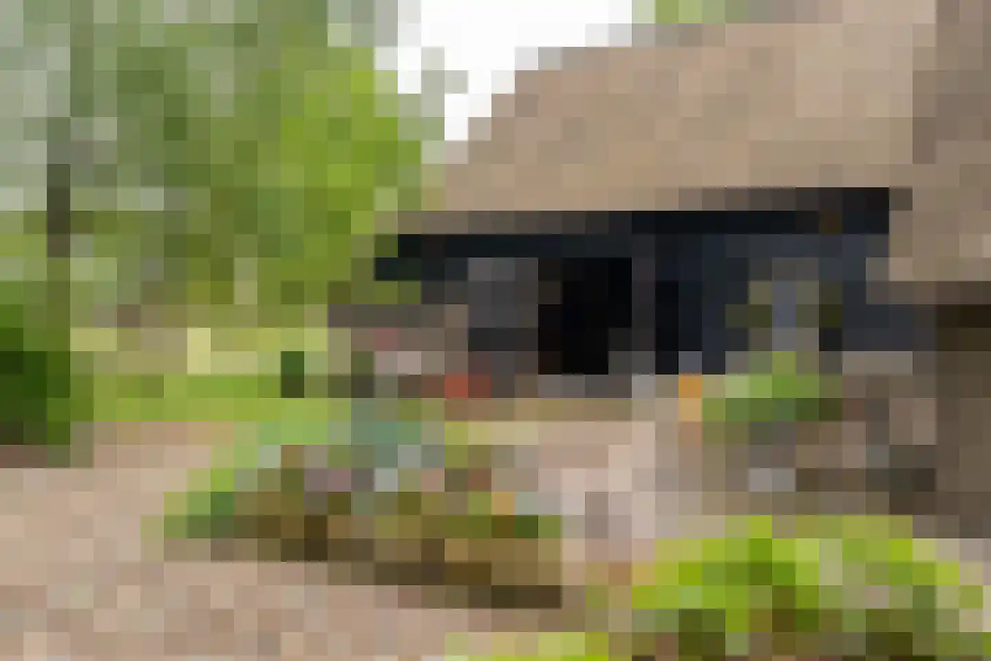 Den Hool 8 Holsloot thumbnail 14