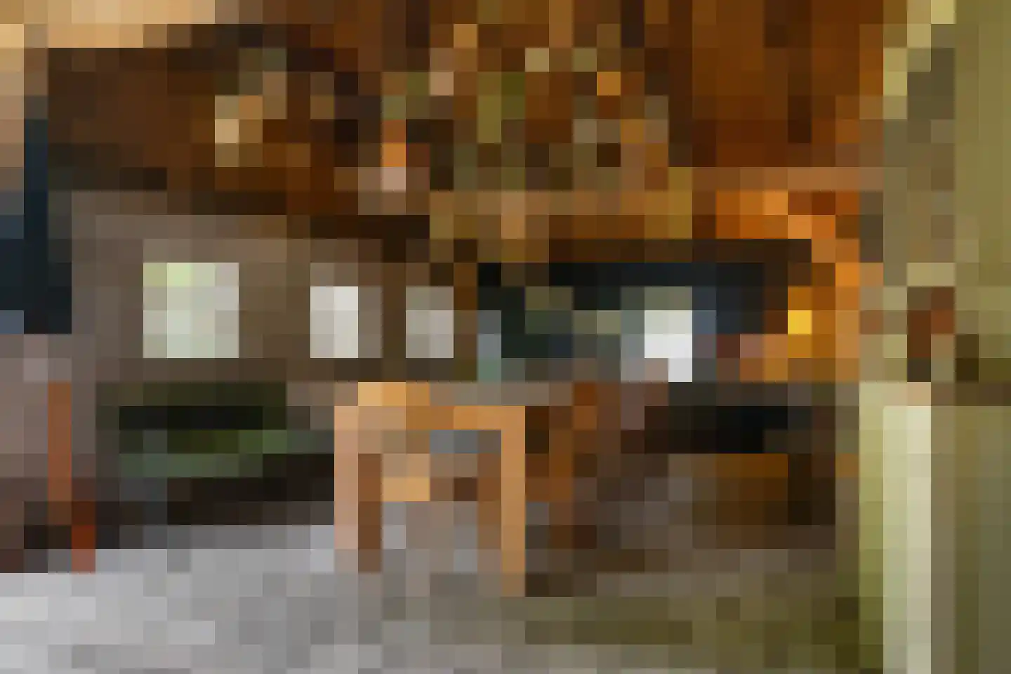 Den Hool 8 Holsloot thumbnail 15