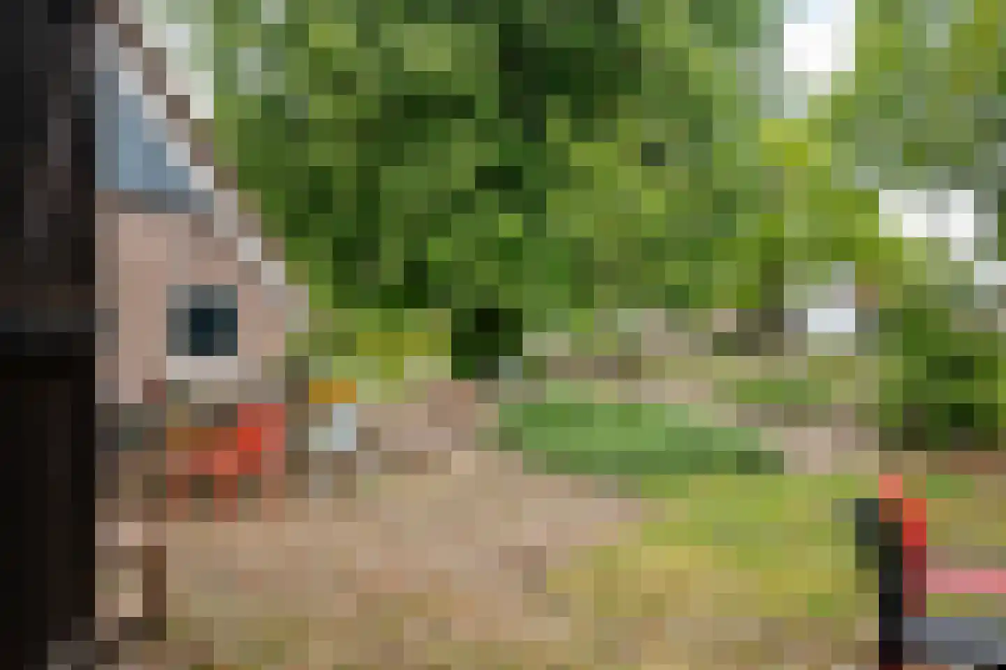 Den Hool 8 Holsloot thumbnail 16