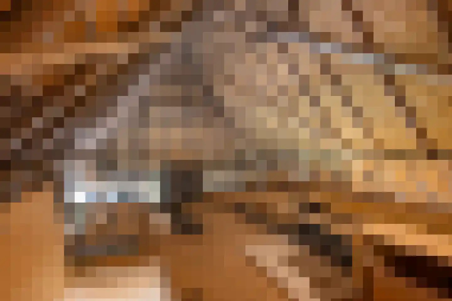 Den Hool 8 Holsloot thumbnail 27