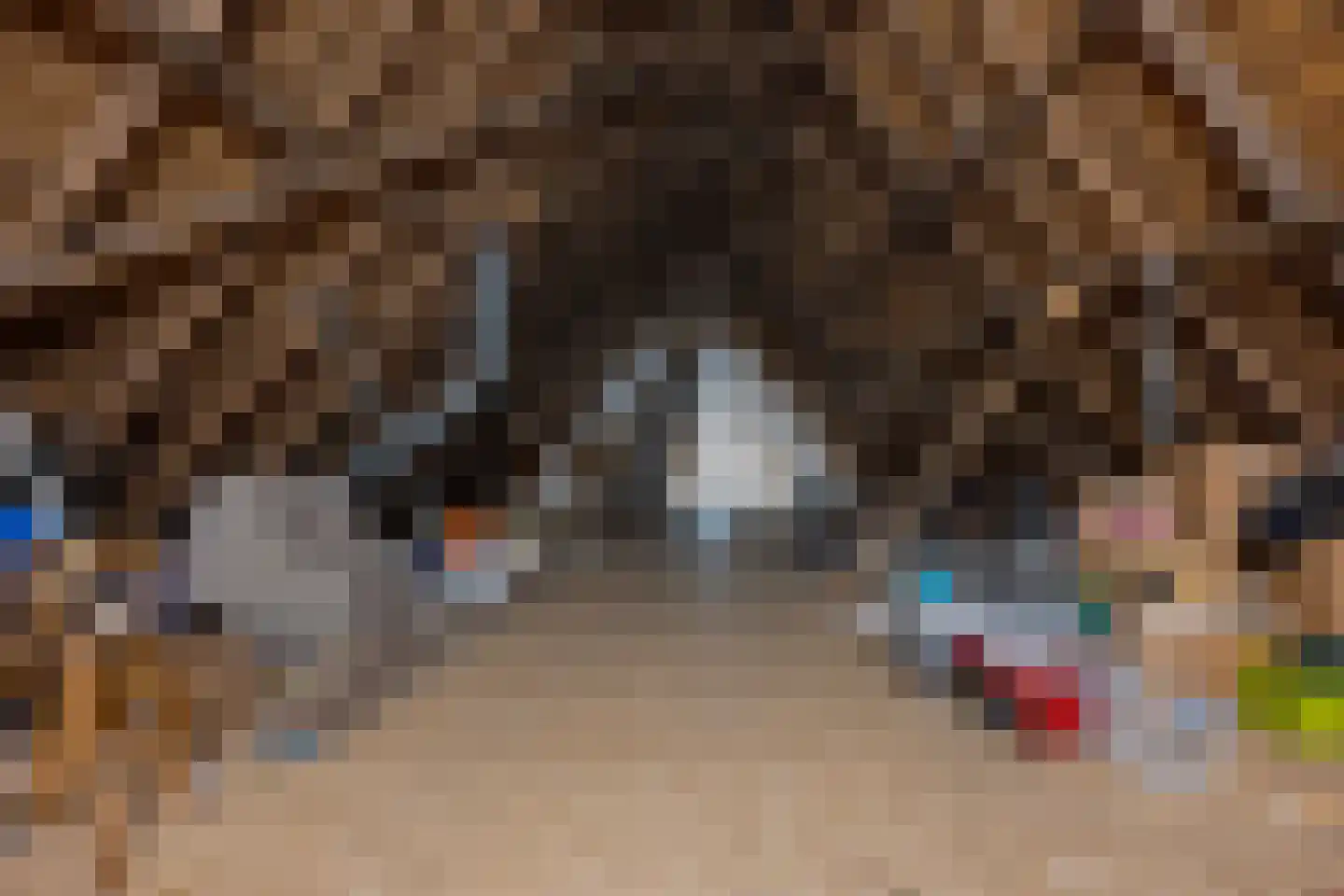 Den Hool 8 Holsloot thumbnail 28