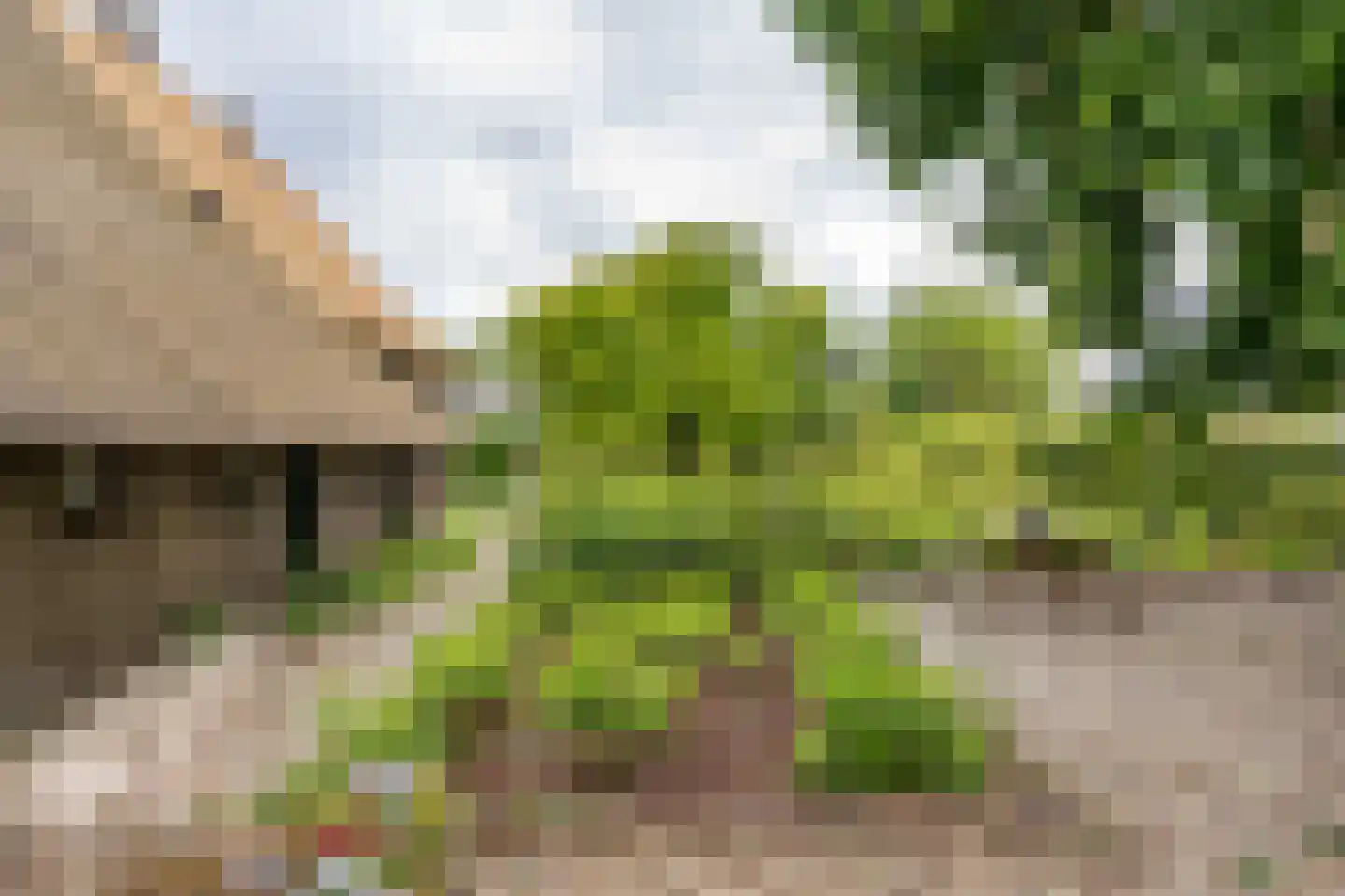 Den Hool 8 Holsloot thumbnail 29