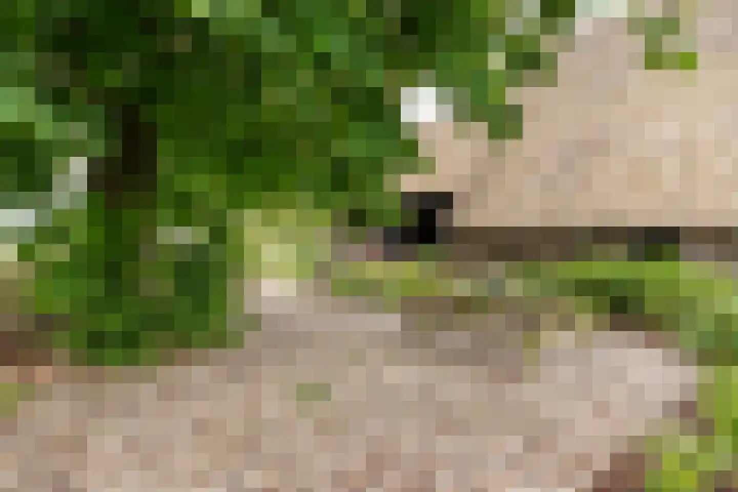 Den Hool 8 Holsloot thumbnail 30
