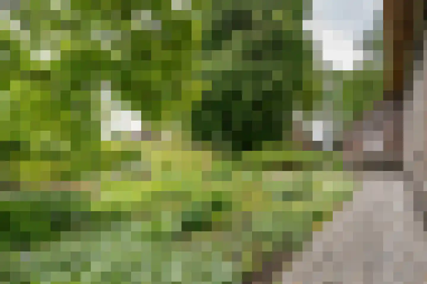 Den Hool 8 Holsloot thumbnail 31