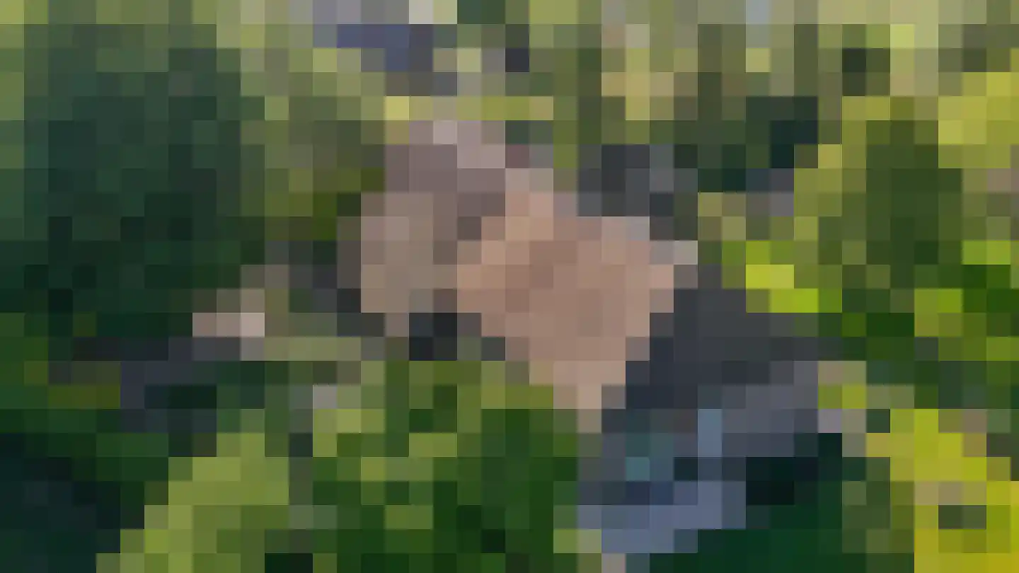Den Hool 8 Holsloot thumbnail 5