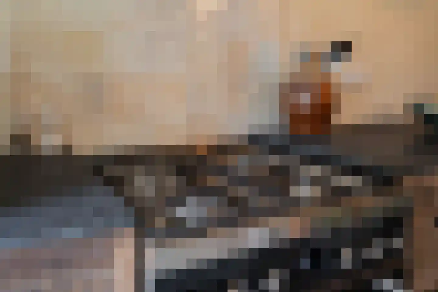 Den Hool 8 Holsloot thumbnail 51