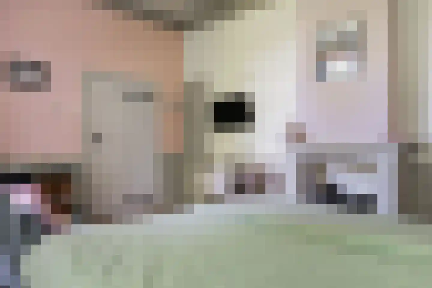 Den Hool 8 Holsloot thumbnail 63