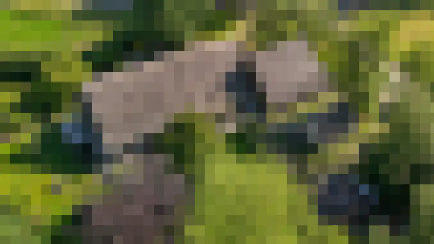 Den Hool 8 Holsloot thumbnail 7