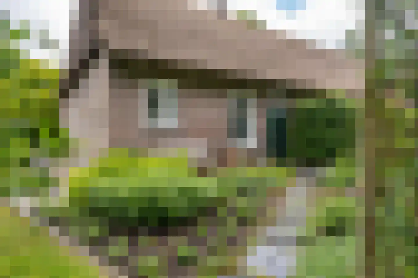 Den Hool 8 Holsloot thumbnail 78