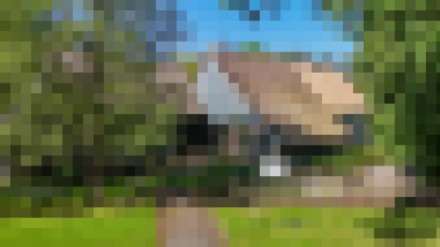 Den Hool 8 Holsloot thumbnail 8