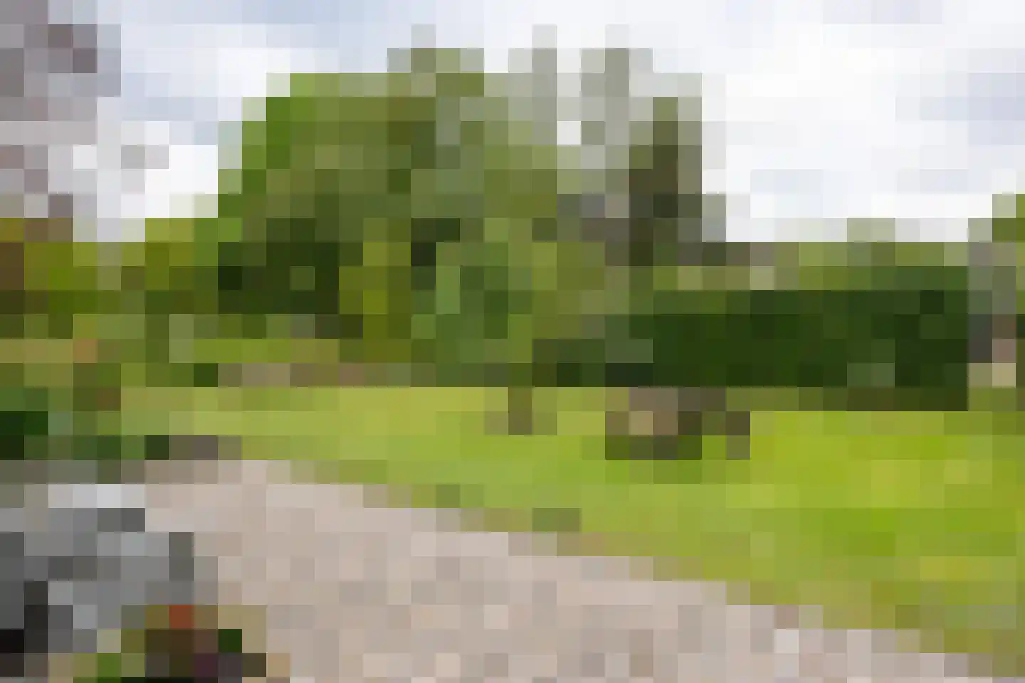 Den Hool 8 Holsloot thumbnail 81