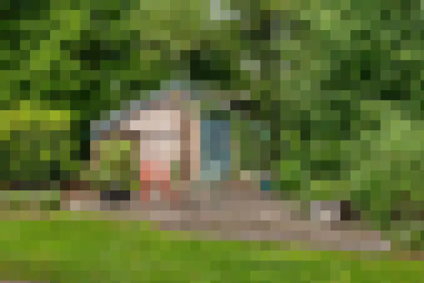 Den Hool 8 Holsloot thumbnail 82