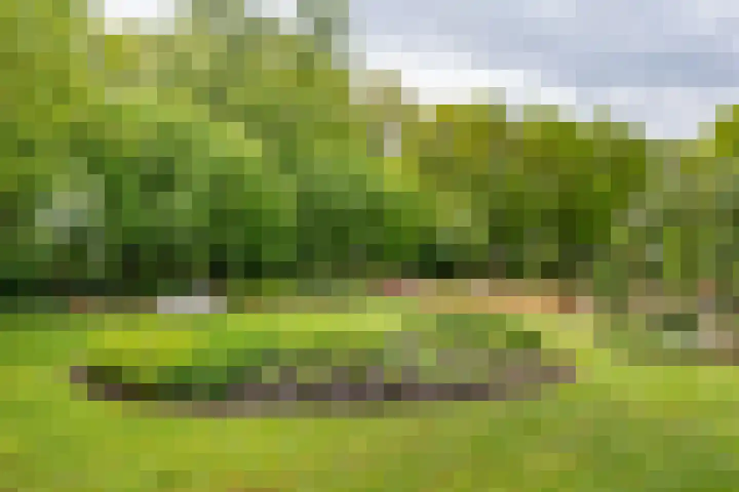 Den Hool 8 Holsloot thumbnail 83
