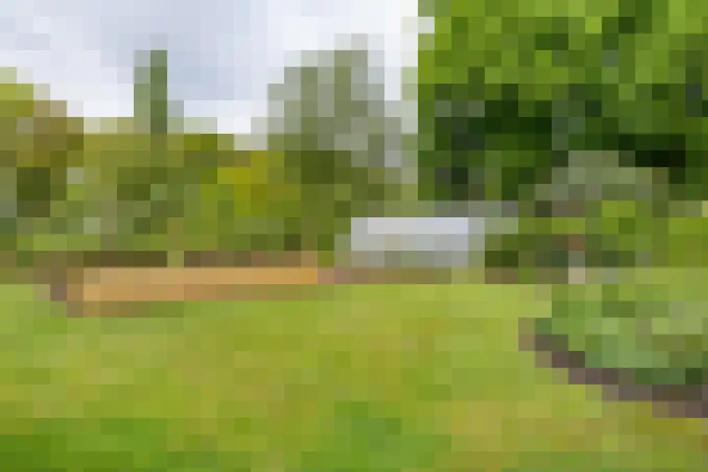 Den Hool 8 Holsloot thumbnail 84