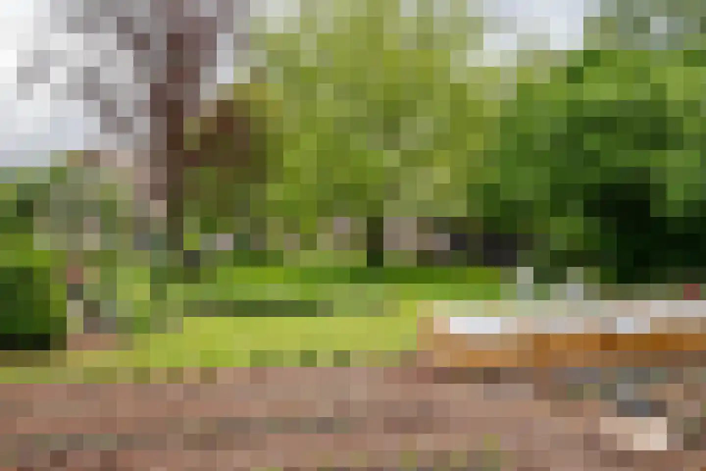 Den Hool 8 Holsloot thumbnail 85