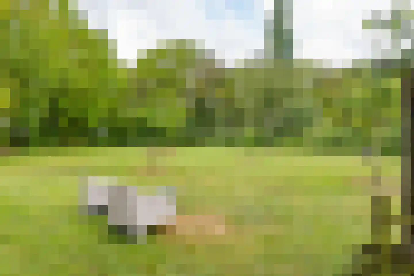 Den Hool 8 Holsloot thumbnail 86