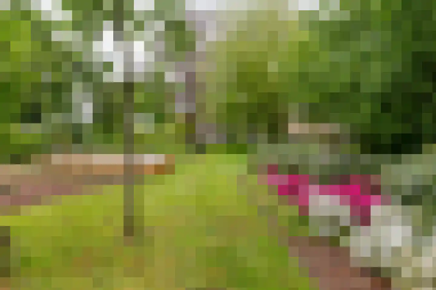 Den Hool 8 Holsloot thumbnail 87