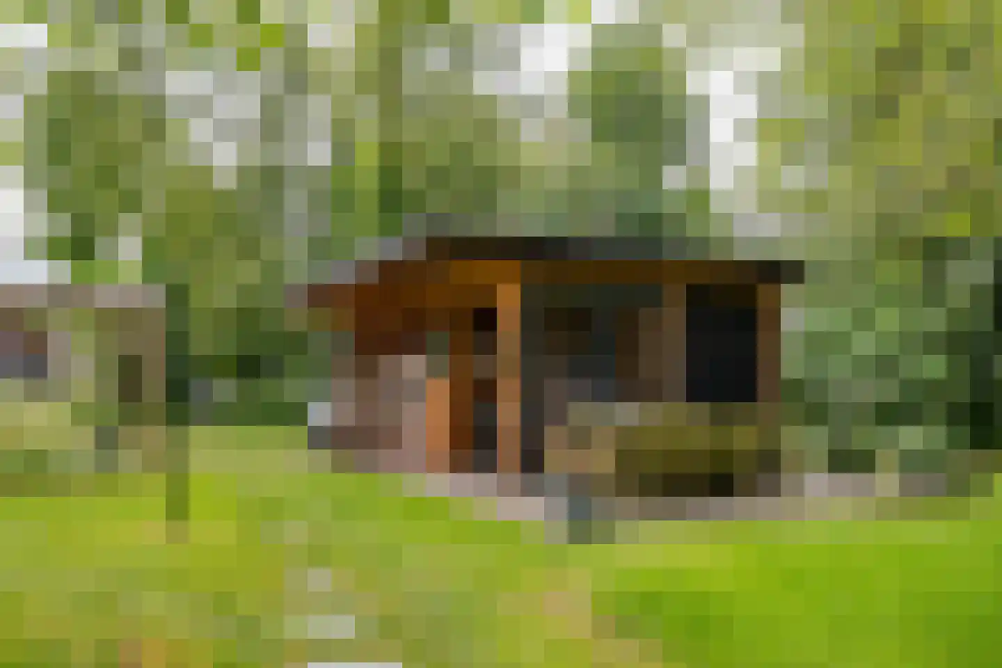 Den Hool 8 Holsloot thumbnail 89