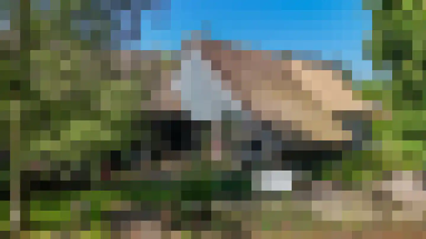 Den Hool 8 Holsloot thumbnail 9