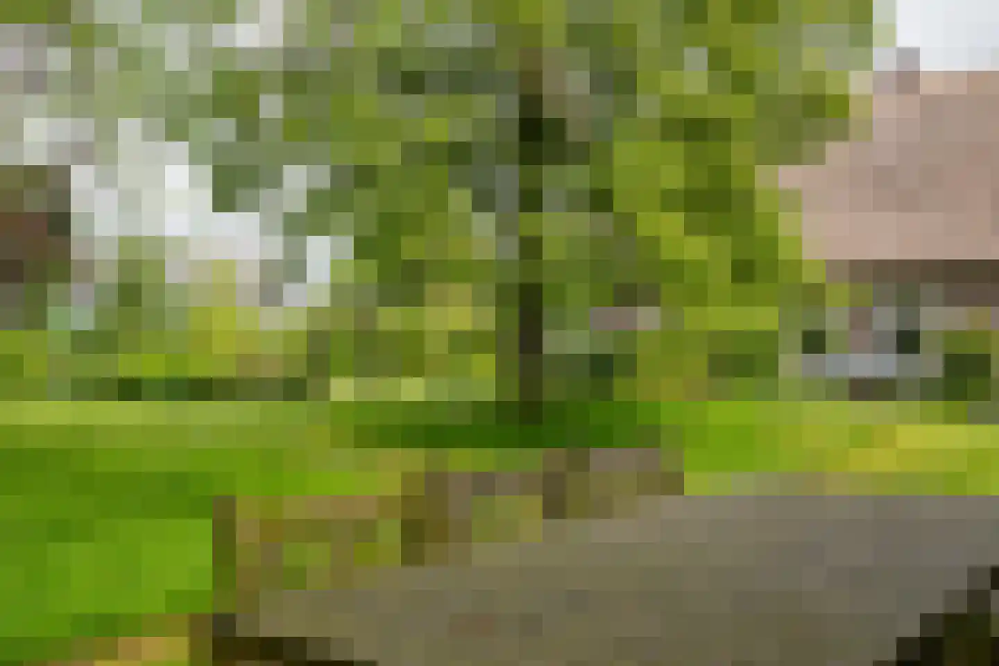 Den Hool 8 Holsloot thumbnail 91