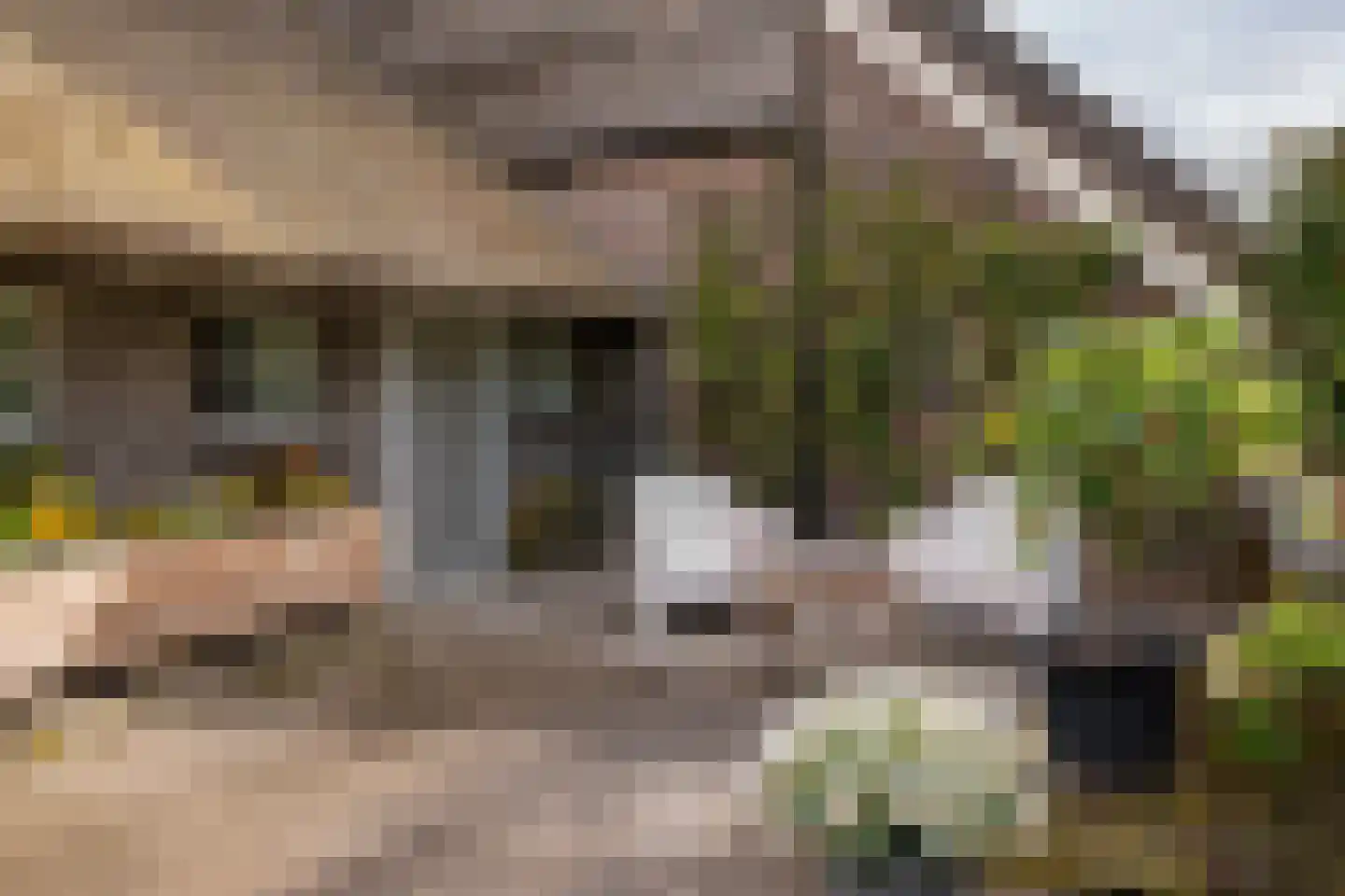 Den Hool 8 Holsloot thumbnail 95