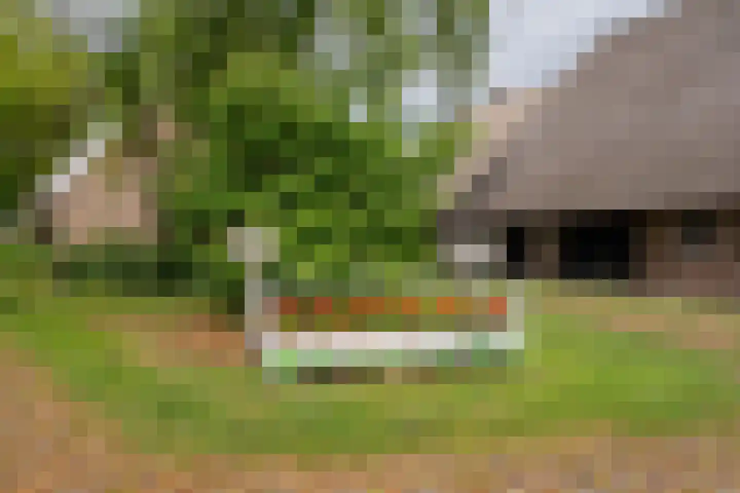 Den Hool 8 Holsloot thumbnail 96