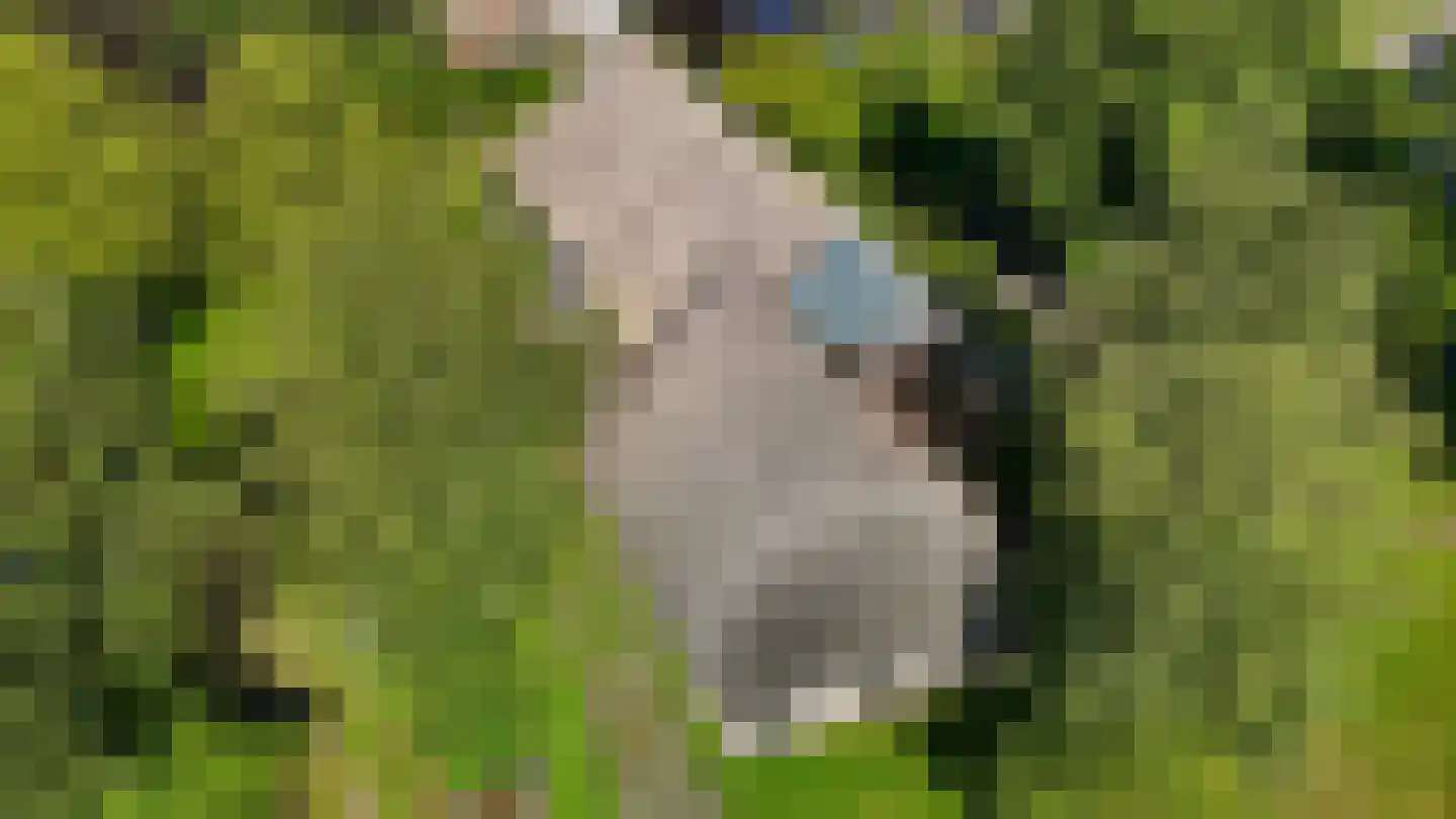 Den Hool 8 Holsloot thumbnail 99