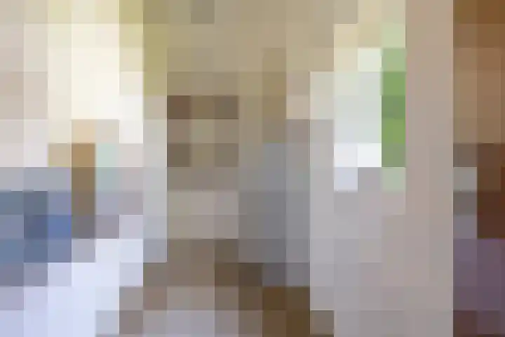 Den Horst 2 Roermond thumbnail 19