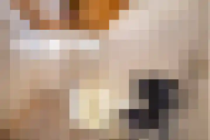 Den Horst 2 Roermond thumbnail 20