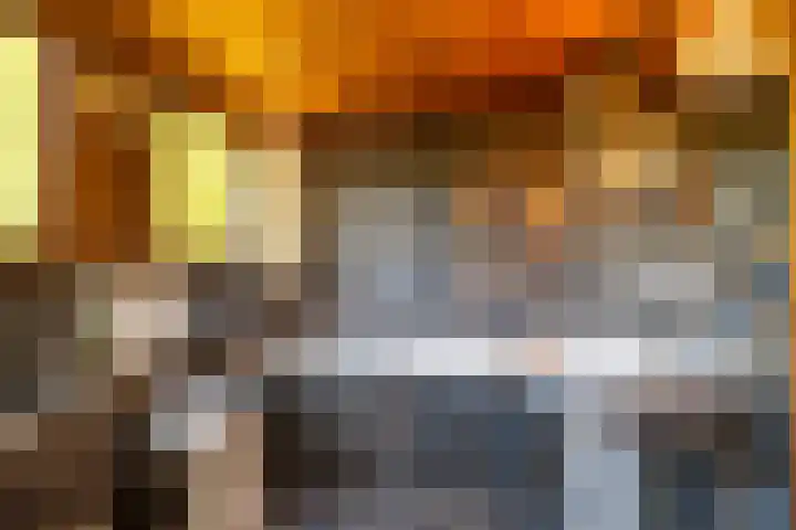 Den Horst 2 Roermond thumbnail 23