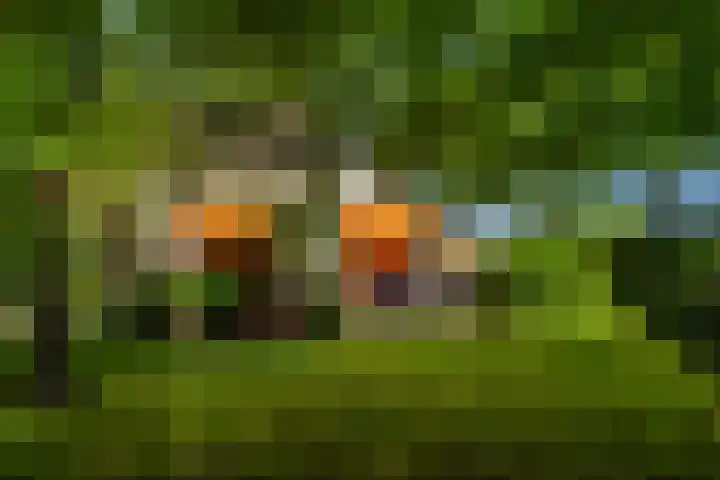 Den Horst 2 Roermond thumbnail 27