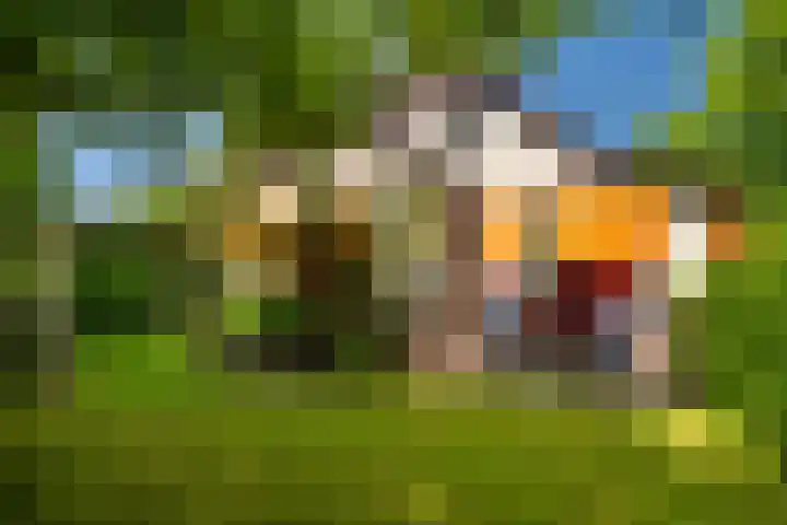 Den Horst 2 Roermond thumbnail 28