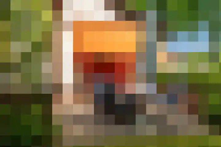 Den Horst 2 Roermond thumbnail 29