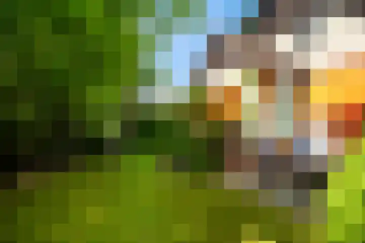 Den Horst 2 Roermond thumbnail 30