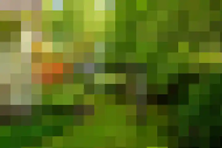 Den Horst 2 Roermond thumbnail 31