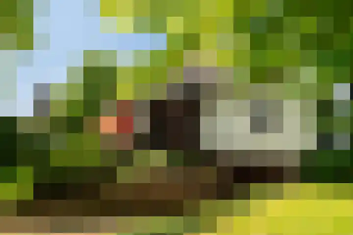 Den Horst 2 Roermond thumbnail 33
