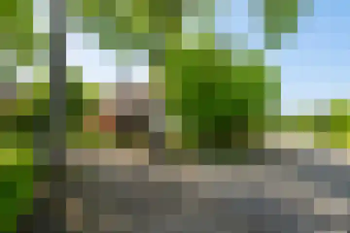 Den Horst 2 Roermond thumbnail 34